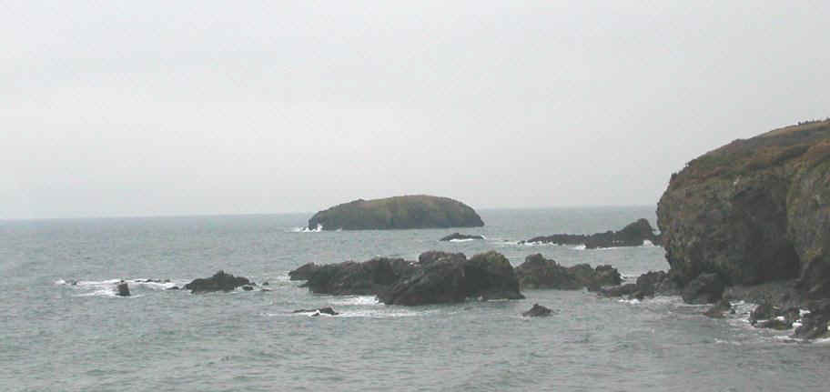 03c06007 DUB Copper Coast.jpg (78283 bytes)