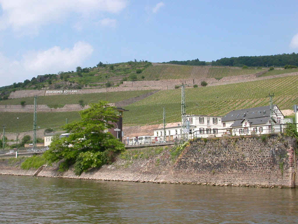 04520005 FRA Rudesheim.jpg (183657 bytes)